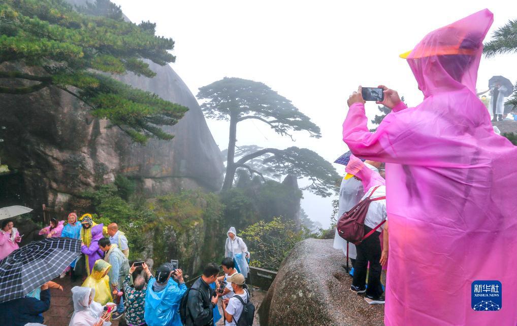 永利登录网址网